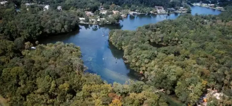 Aerial view of a spring-fed river winding through the forest in Homosassa