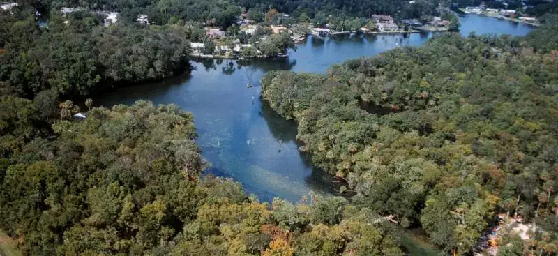 Aerial view of a spring-fed river winding through the forest in Homosassa