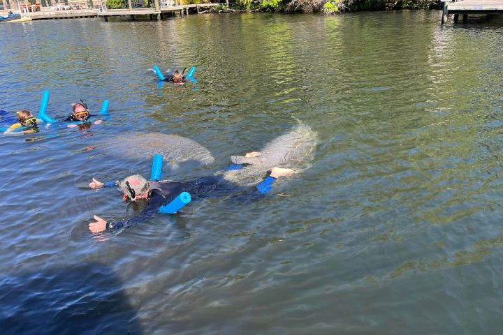 a group of people swimming in a body of water