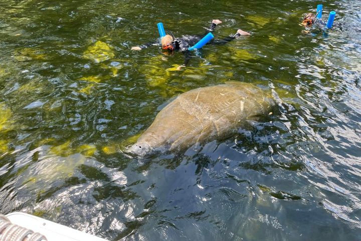 a person swimming in a body of water