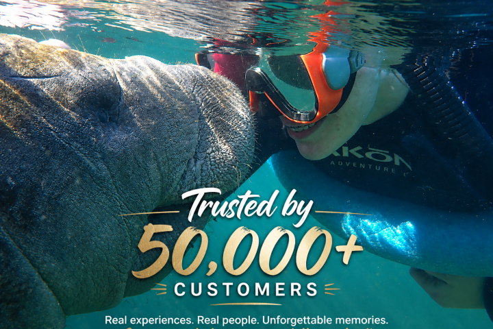 Person snorkeling with a manatee in clear water, text overlay about customer trust.