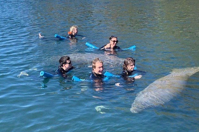 a group of people swimming in a body of water