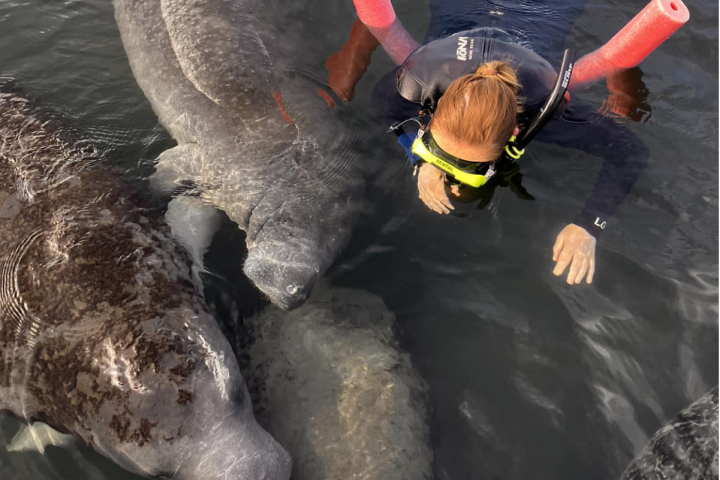 a statue of a man riding a elephant in the water