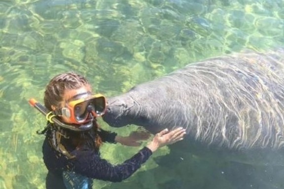a dog swimming in a body of water