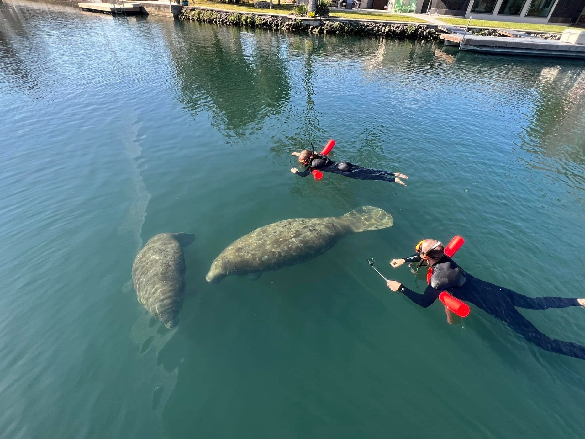 Florida Manatee Boat Tours Stuart Private Tiki Boat Tour With Manatee
