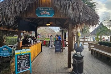 Outdoor tiki bar with wooden walkway and thatched roof, surrounded by trees.