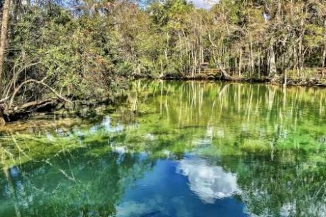 a body of water surrounded by trees