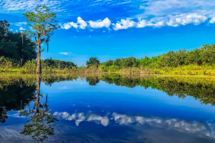 Calm lake with tree reflections and cloudy blue sky.
