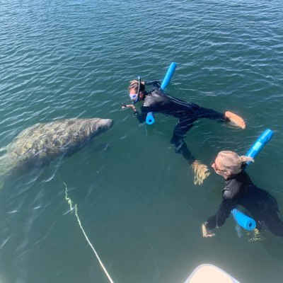 a man swimming in a body of water