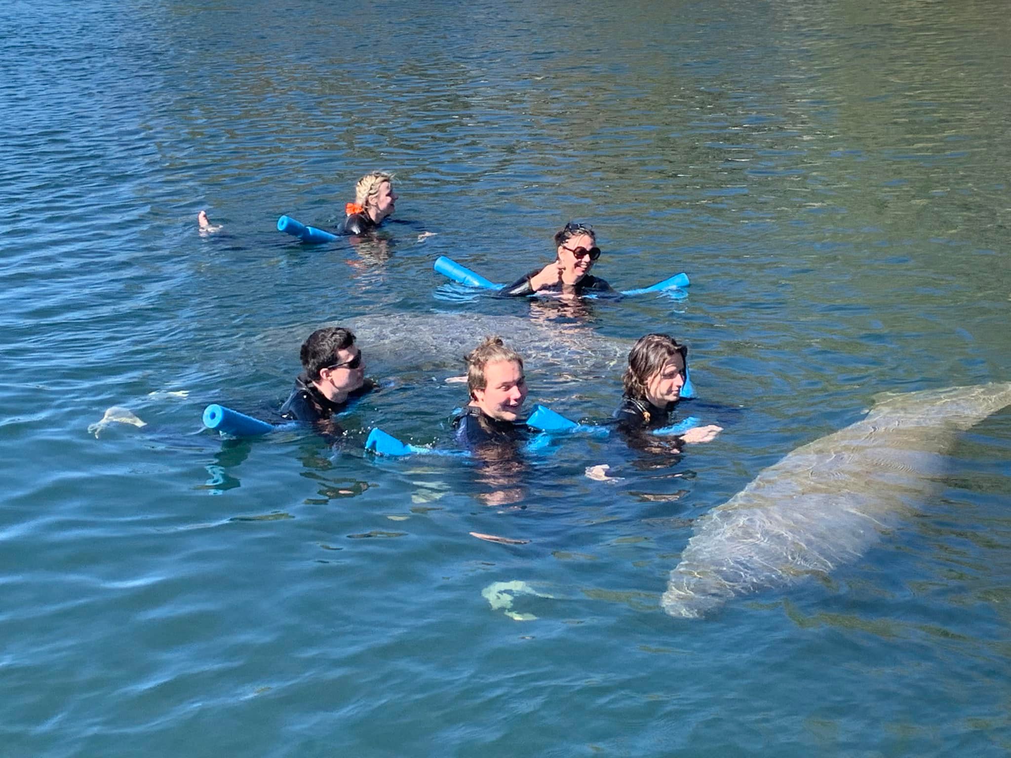 Directions | Swim with Manatees