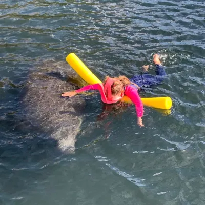 a person swimming in a body of water