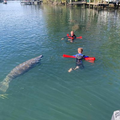 a group of people swimming in a body of water