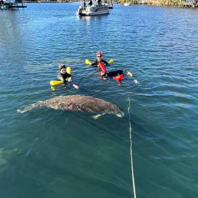 a man riding on the back of a boat in a body of water