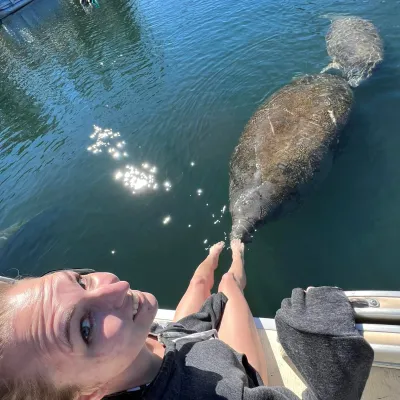 a flock of birds sitting on top of a body of water