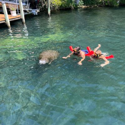 a group of people swimming in the water