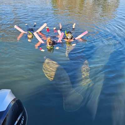 a group of people swimming in a body of water
