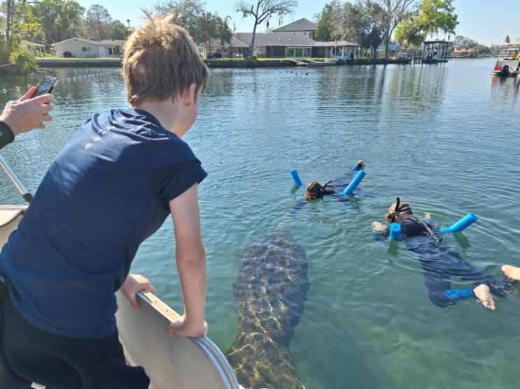a group of people swimming in a body of water