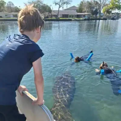 a group of people swimming in a body of water