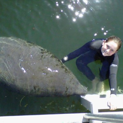 a person jumping into the water