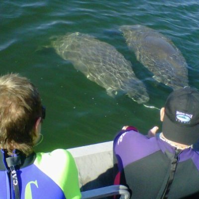 a person standing next to a body of water
