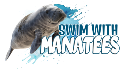 Swim With Manatees