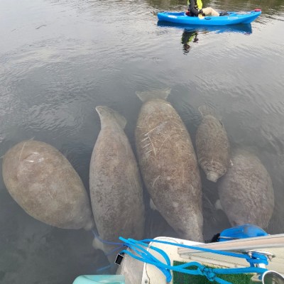 a boat that is floating in the water
