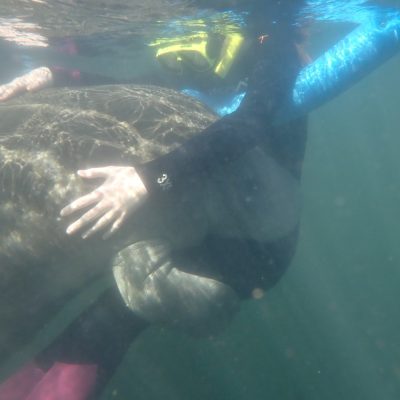 a person swimming in water