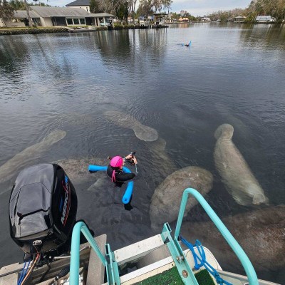 a group of people standing next to a body of water