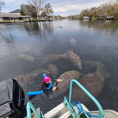 a group of people sitting next to a body of water