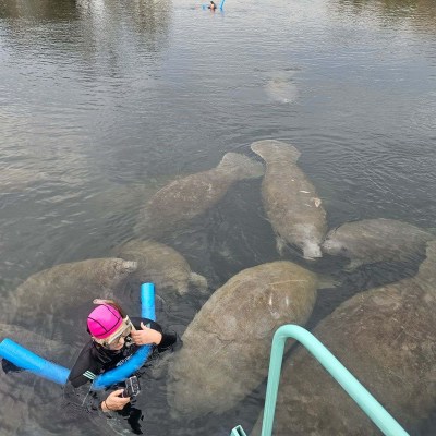 a group of people sitting around a body of water