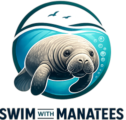 Swim With Manatees