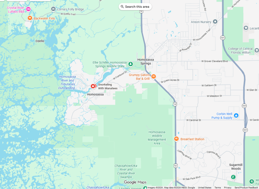 Map showing Homosassa Springs, FL with roads and landmarks.